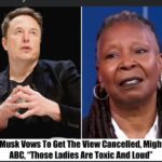 Breaking: Elon Musk Calls for Ban on ‘The View’, “I’d Rather Walk Barefoot On Hot Asphalt Than Watch The View”