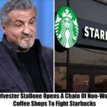 Breaking: Sylvester Stallone to Open Chains of Anti-Woke Coffee Shops to Counter Starbucks