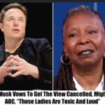 Breaking: Elon Musk Calls for Ban on ‘The View’, “I’d Rather Walk Barefoot On Hot Asphalt Than Watch The View”