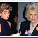 Today News;Queen Camilla Under Fire for Removing Princess Diana’s Pictures from the Royal House